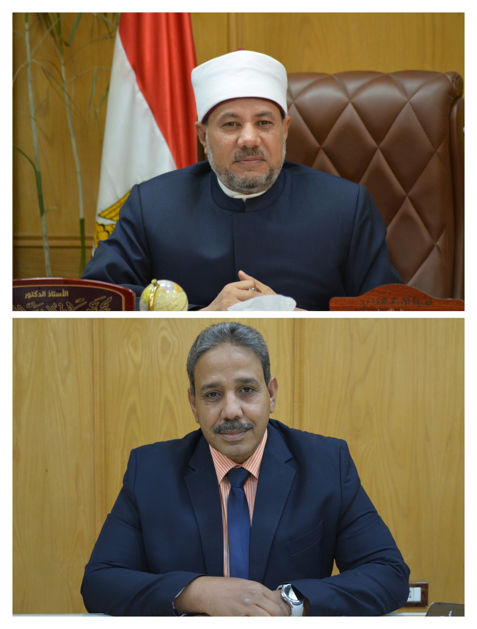 Rizk Ibrahim