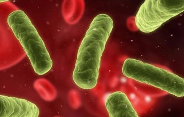 Clostridium botulinum je... - Zanimljive informacije | Facebook