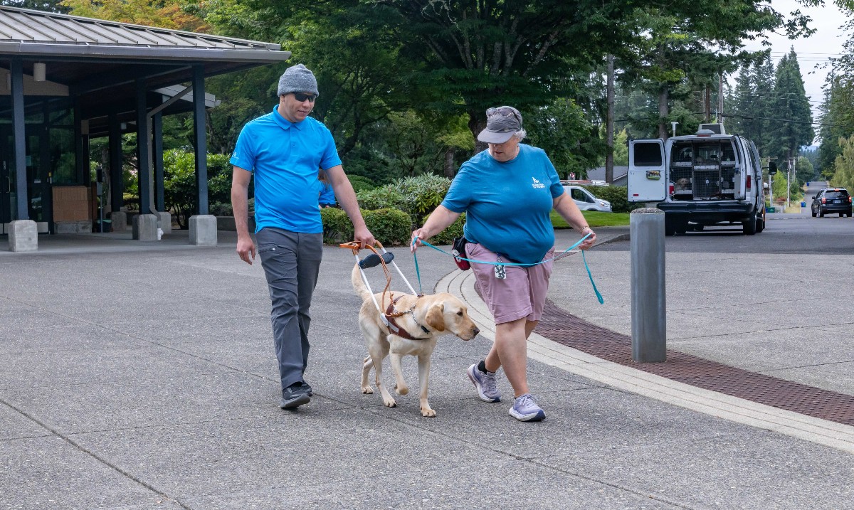 Interested in one of our summer... - Guide Dogs for the Blind | Facebook