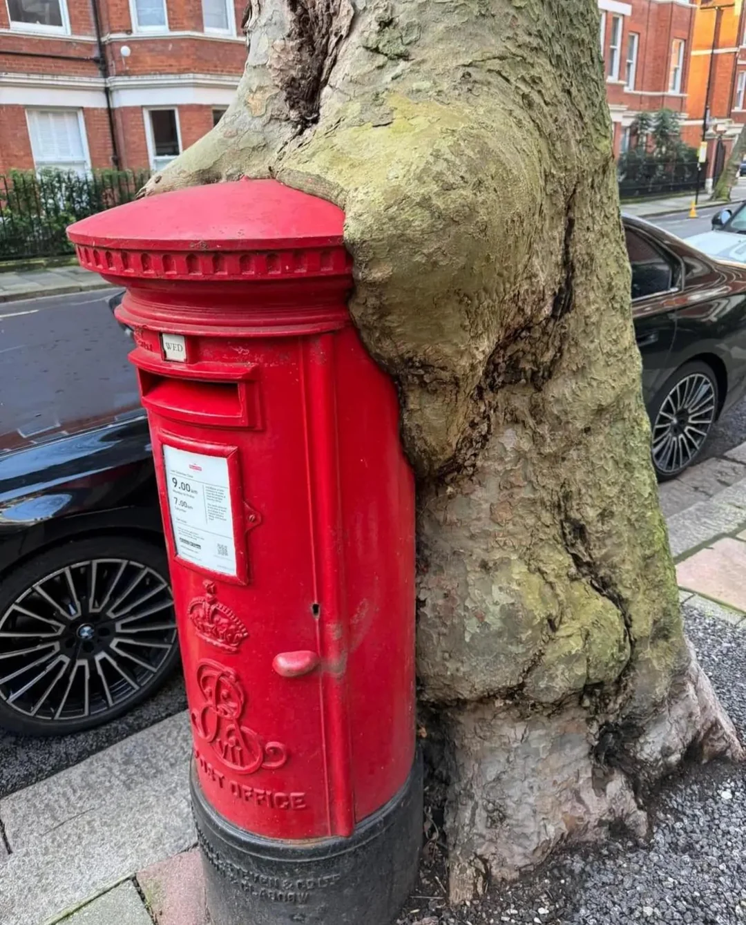 The Way - An old postbox in London that’s gradually being consumed by a ...