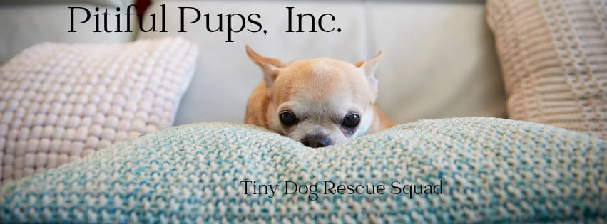 Pitiful Pups | Bixby OK