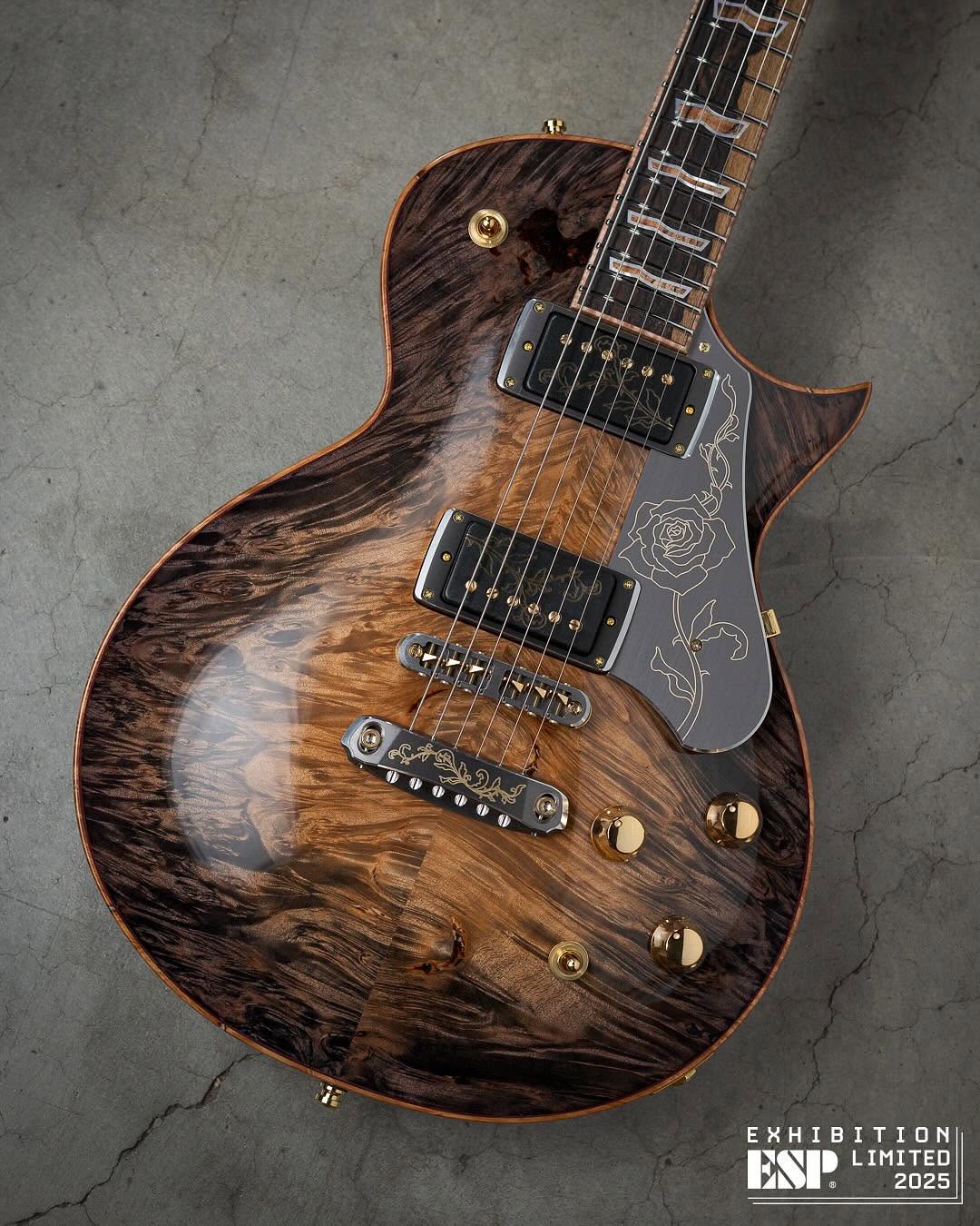EX25-04 ECLIPSE-CTM #espguitars #espguitarsjapan