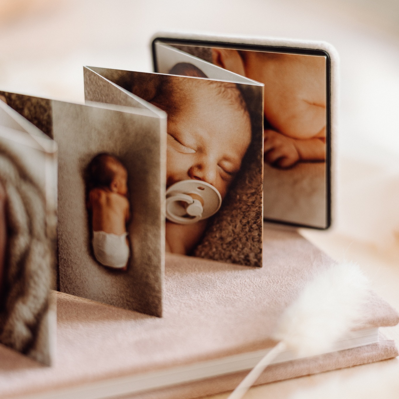 nPhoto Lab | Zaczernie