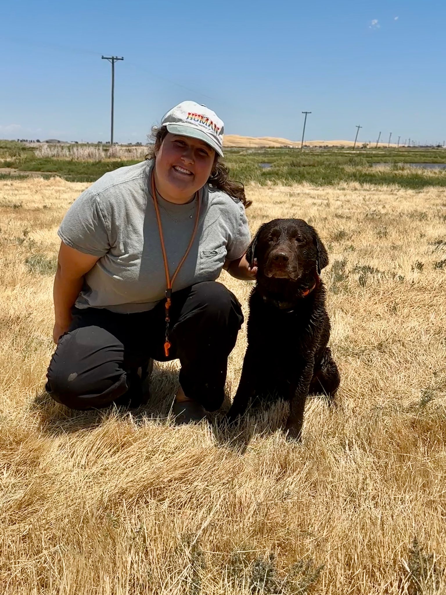 Golden Gate Labrador... - Golden Gate Labrador Retriever Club