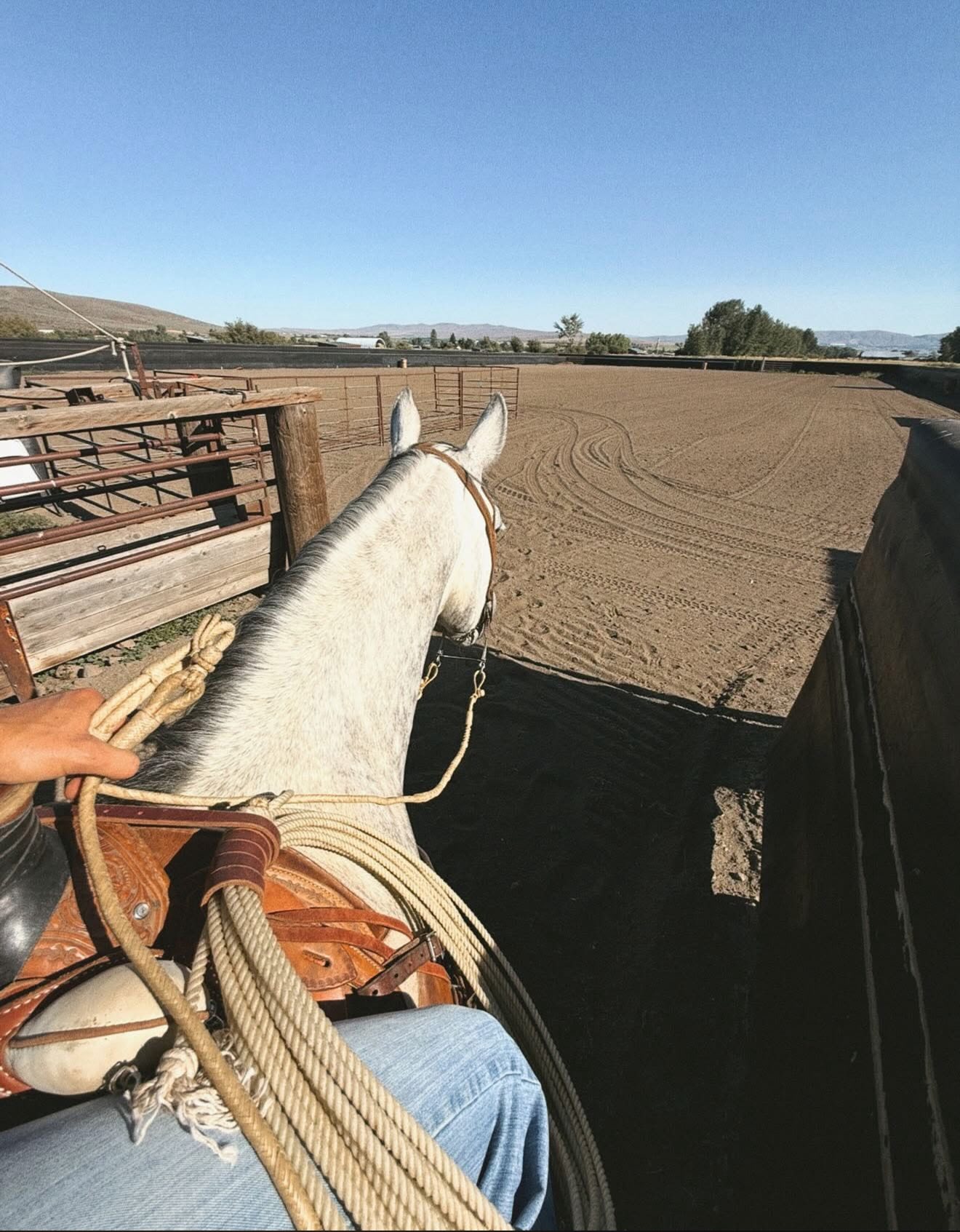 Flying K Ranch