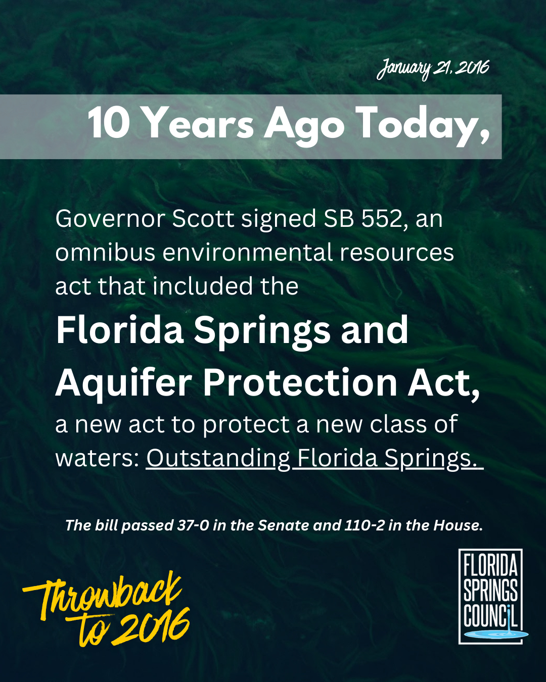 Florida Springs Council