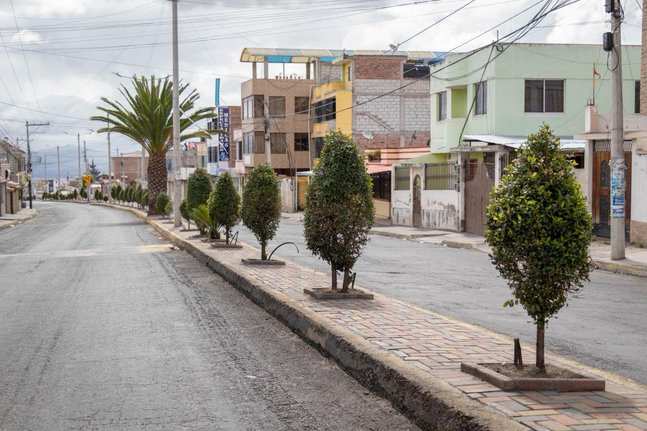 Municipio - El Plan Vida para #Riobamba ha plantado más de mil árboles ...