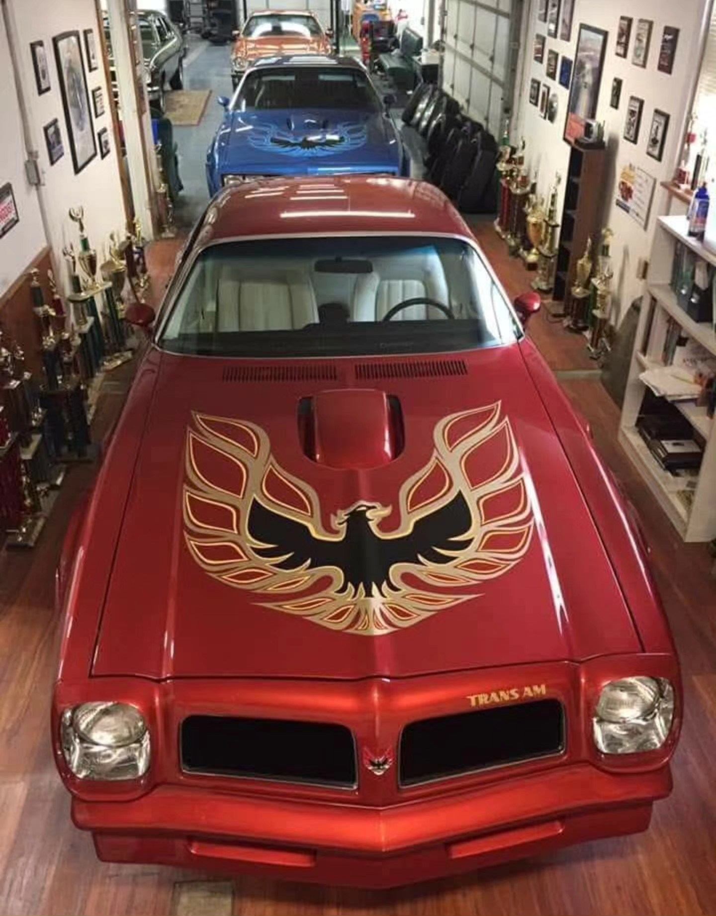 Pontiac - Nice garage! ~ 👏 Do you own a Trans Am? Then join us today ...