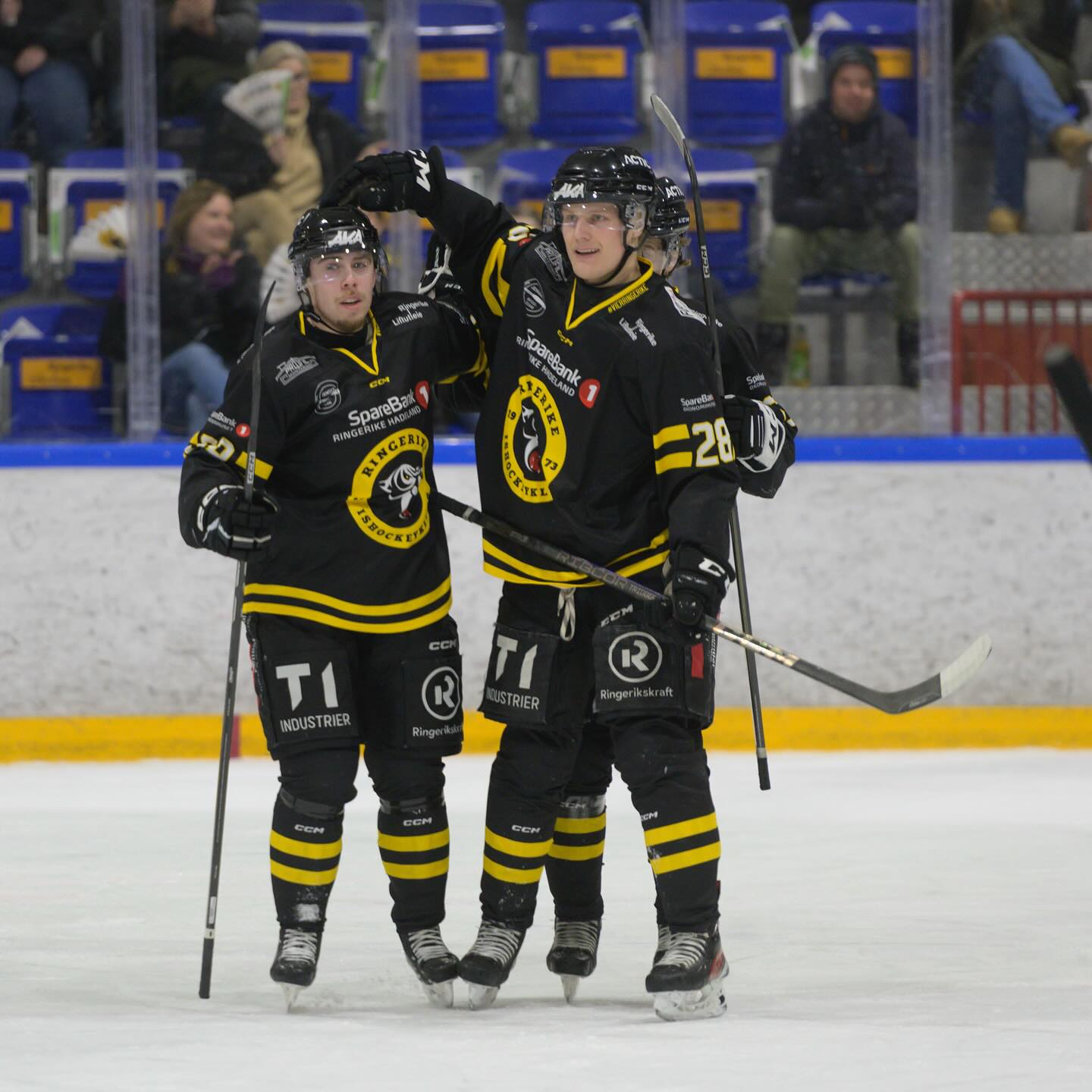 Ringerike Panthers | Hønefoss