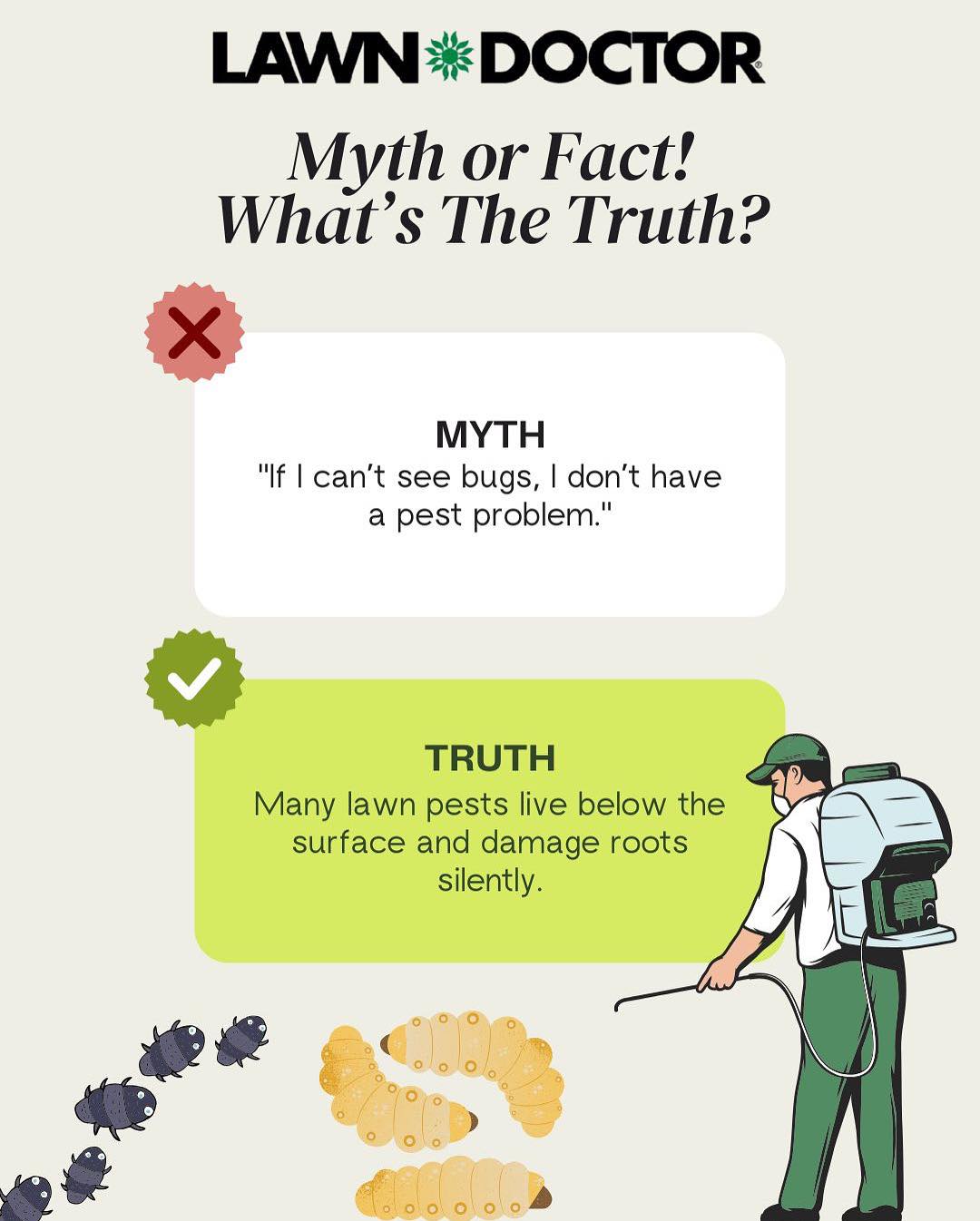 Lawn - 🪲 Grubs Are Hatching Next Month — Protect Your Lawn Now! 🚨 Late ...
