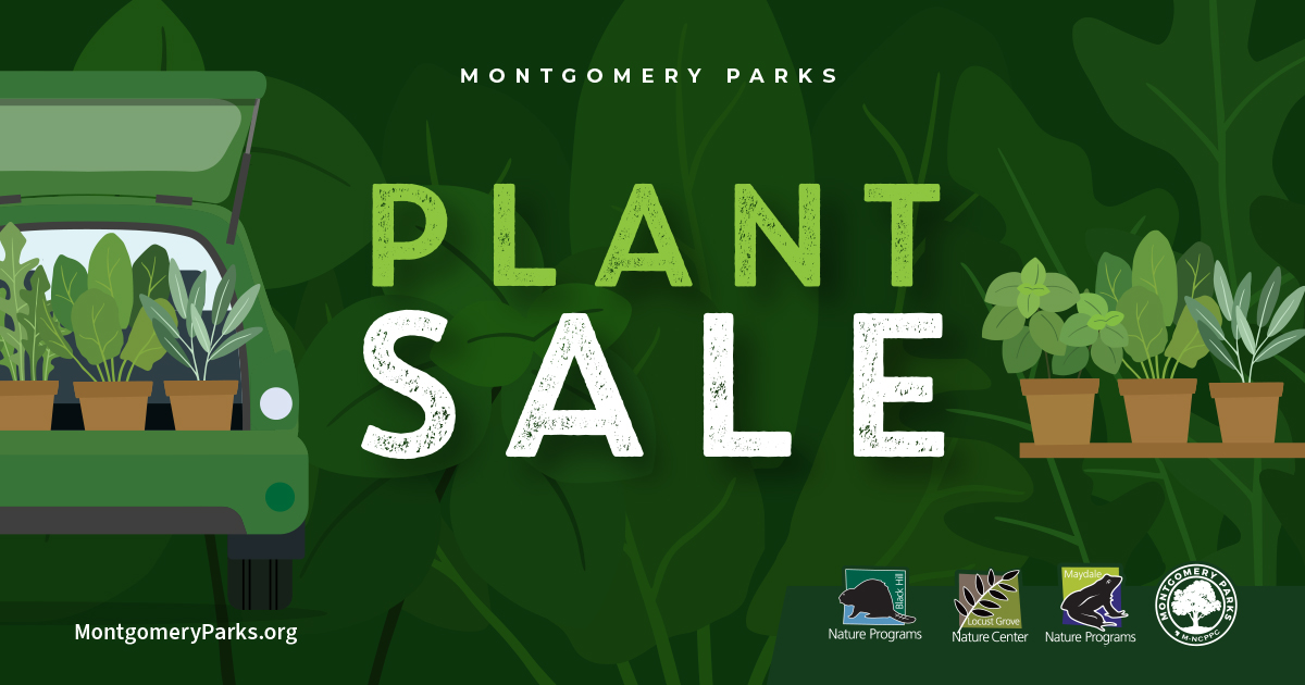 Native Plant Sale at Pope Farm Nursery