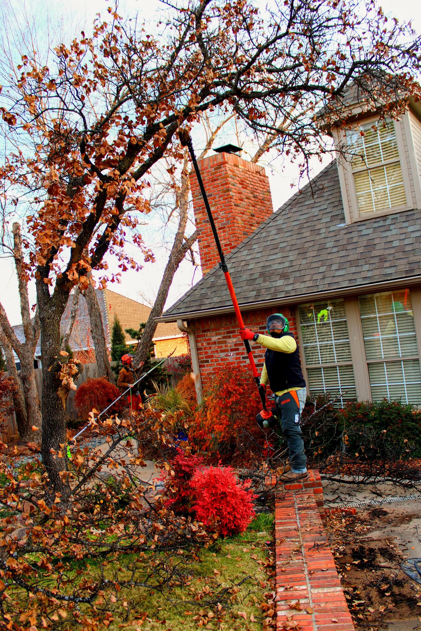 Arbor Image Tree Care | Oklahoma City OK