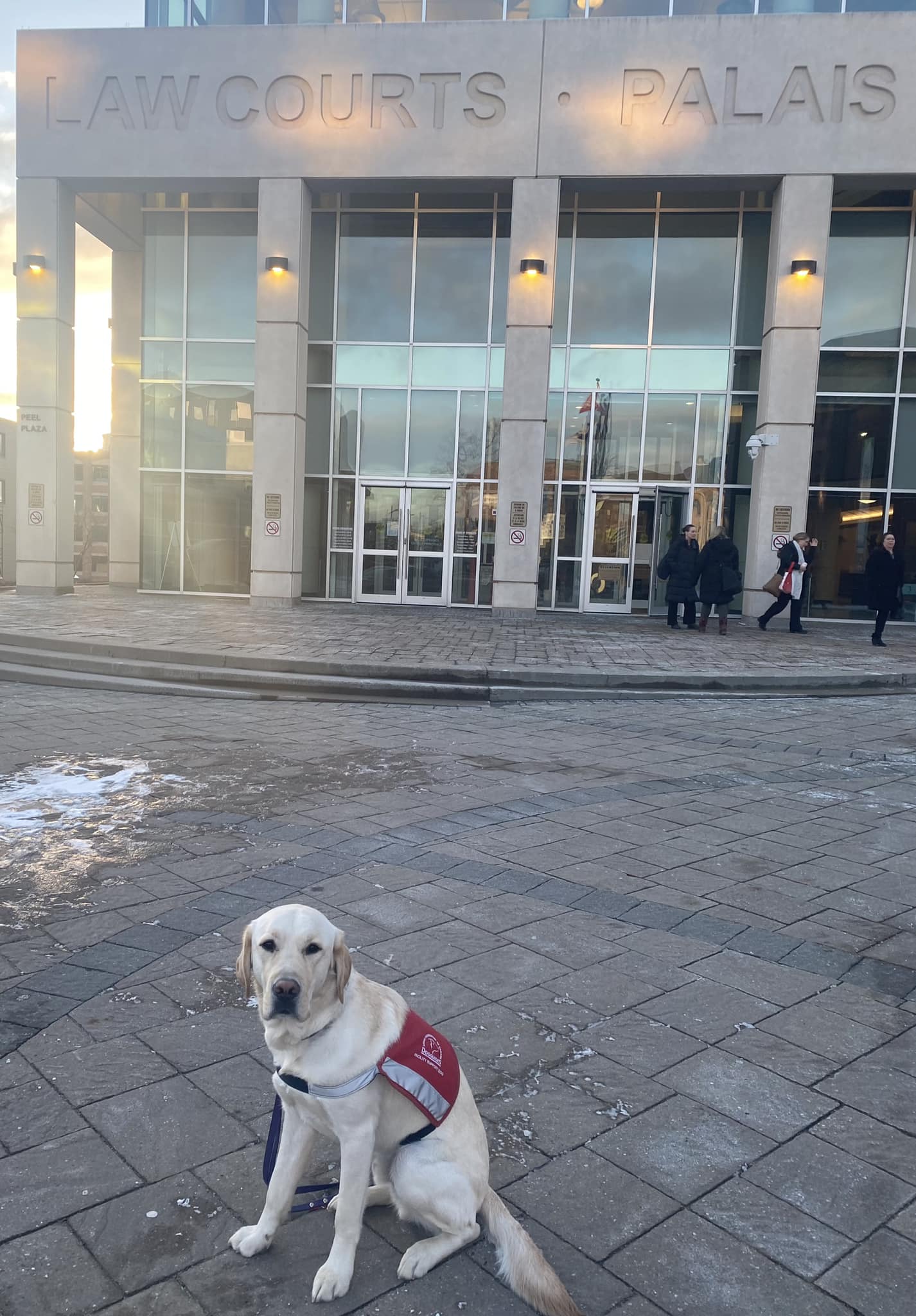 Justice Facility Dogs NB