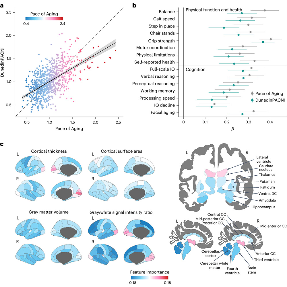 Nature - A paper in Nature Aging describes the Dunedin Pace of Aging ...