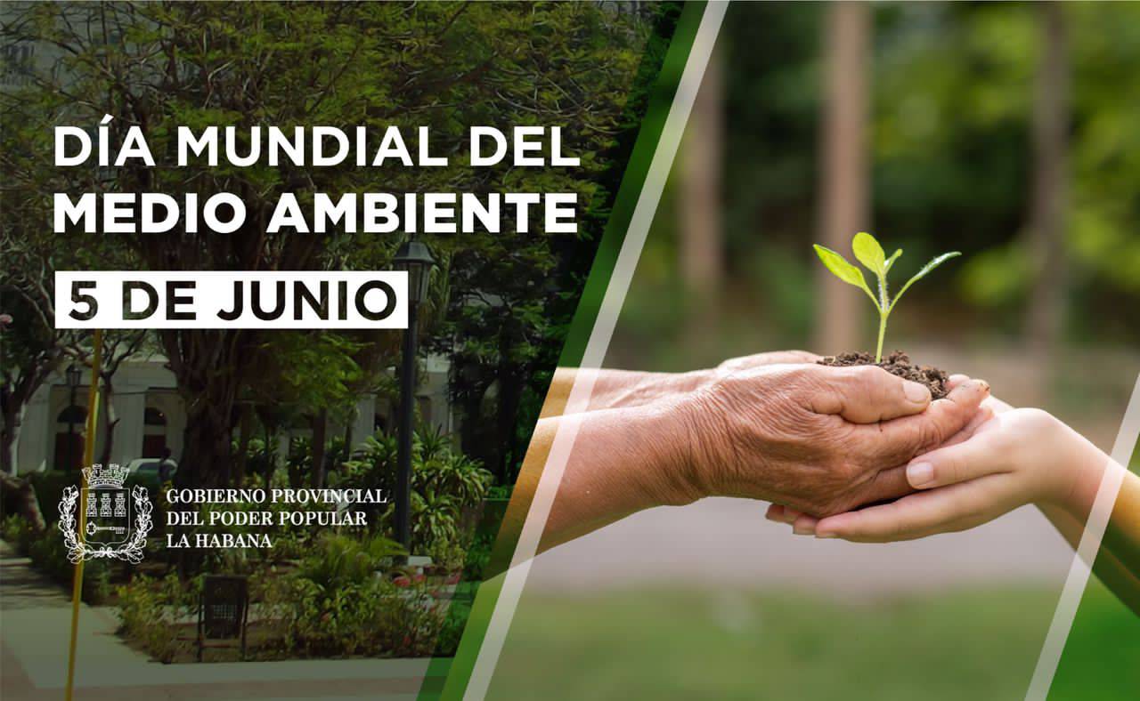 🌎💚 Este 5 de junio celebramos el *Día Mundial del Medio Ambiente* , una ...