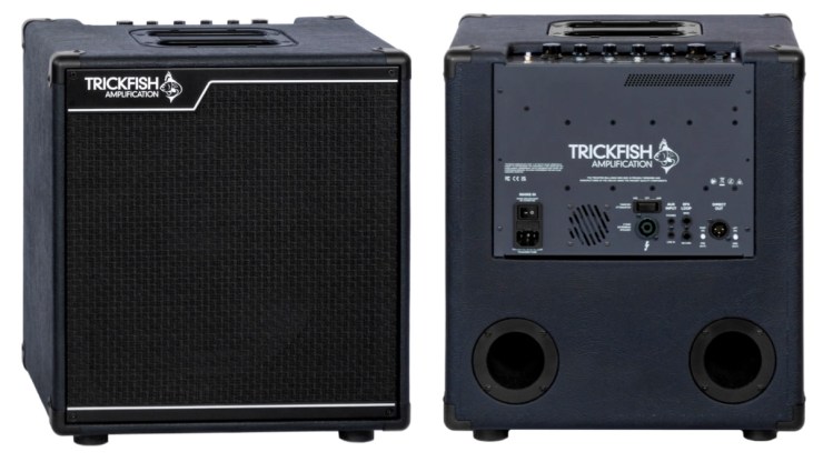 The Ashdown Mini-Rig is a 250w solid state bass head and 2x10