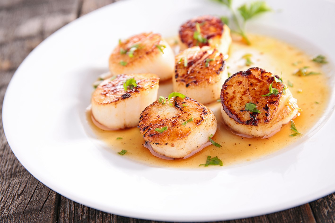 Webbe's in Rye | Rye