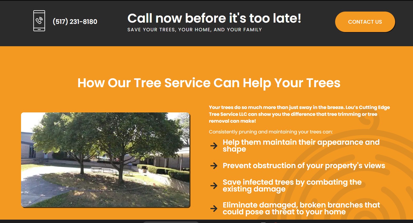 Lou's Cutting Edge Tree Service LLC | Charlotte MI
