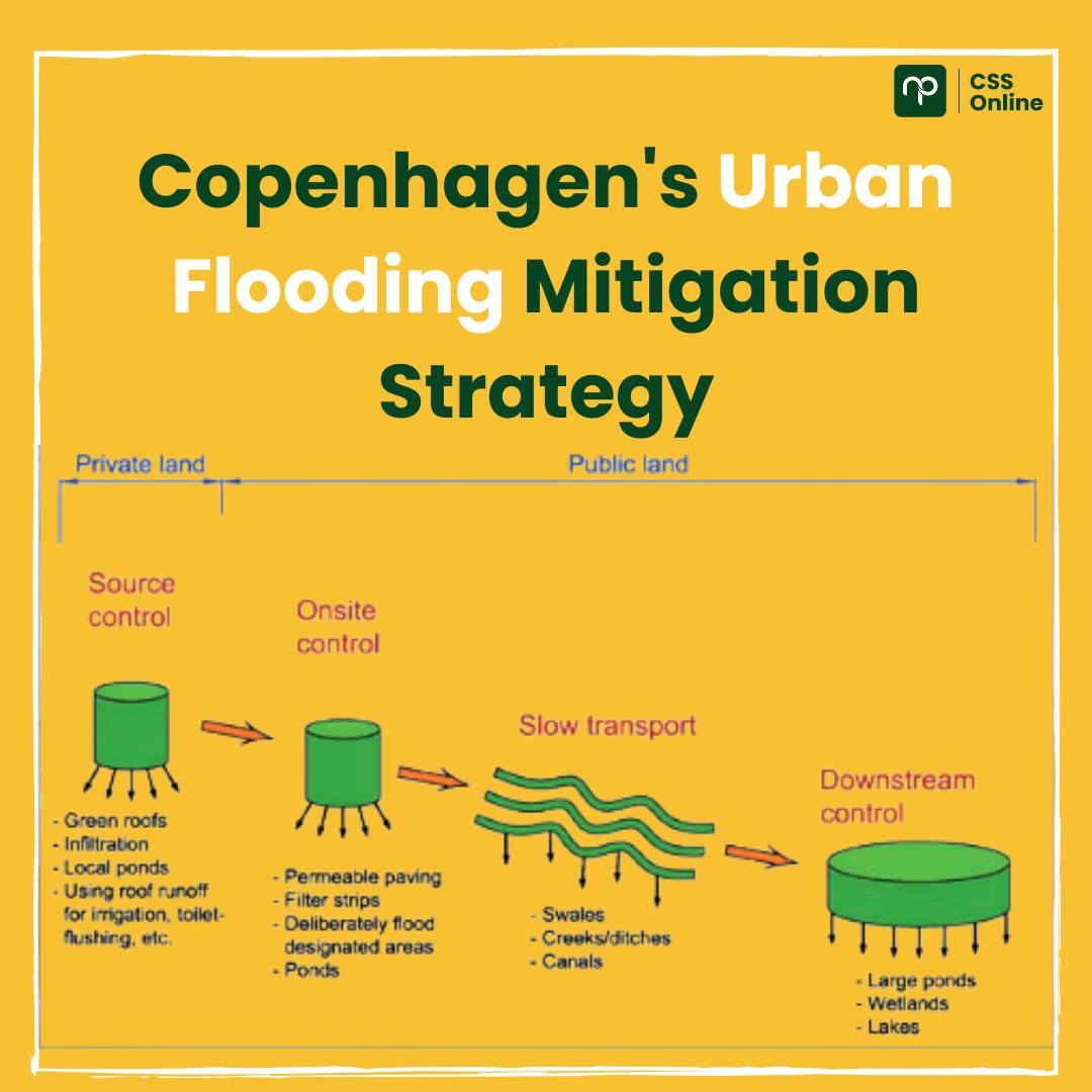 🌍💧 Copenhagen is fighting... - CSS Online with Nearpeer.org | Facebook