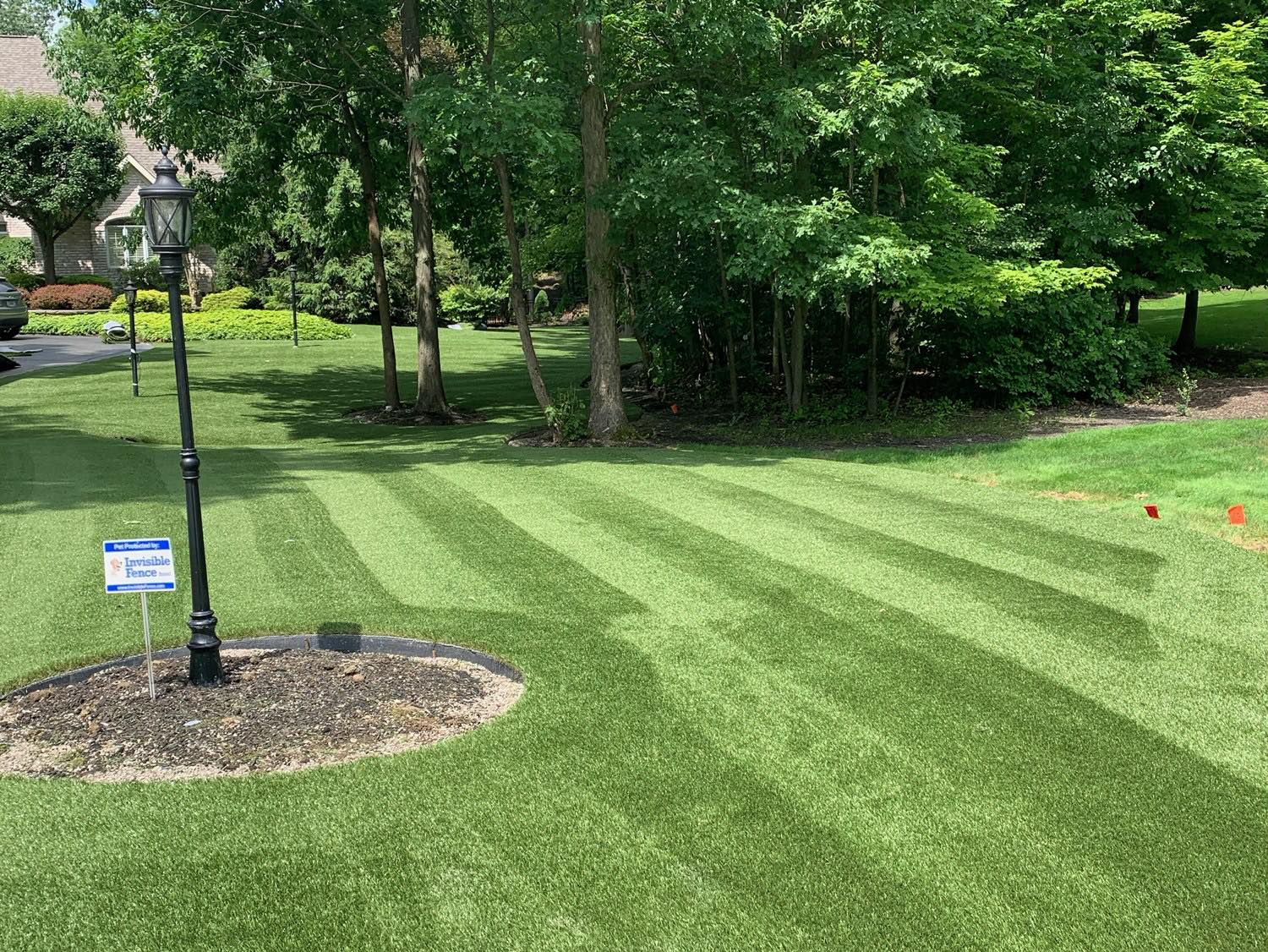 ForeverLawn Central Texas - Meet the team behind the turf! Dakota ...