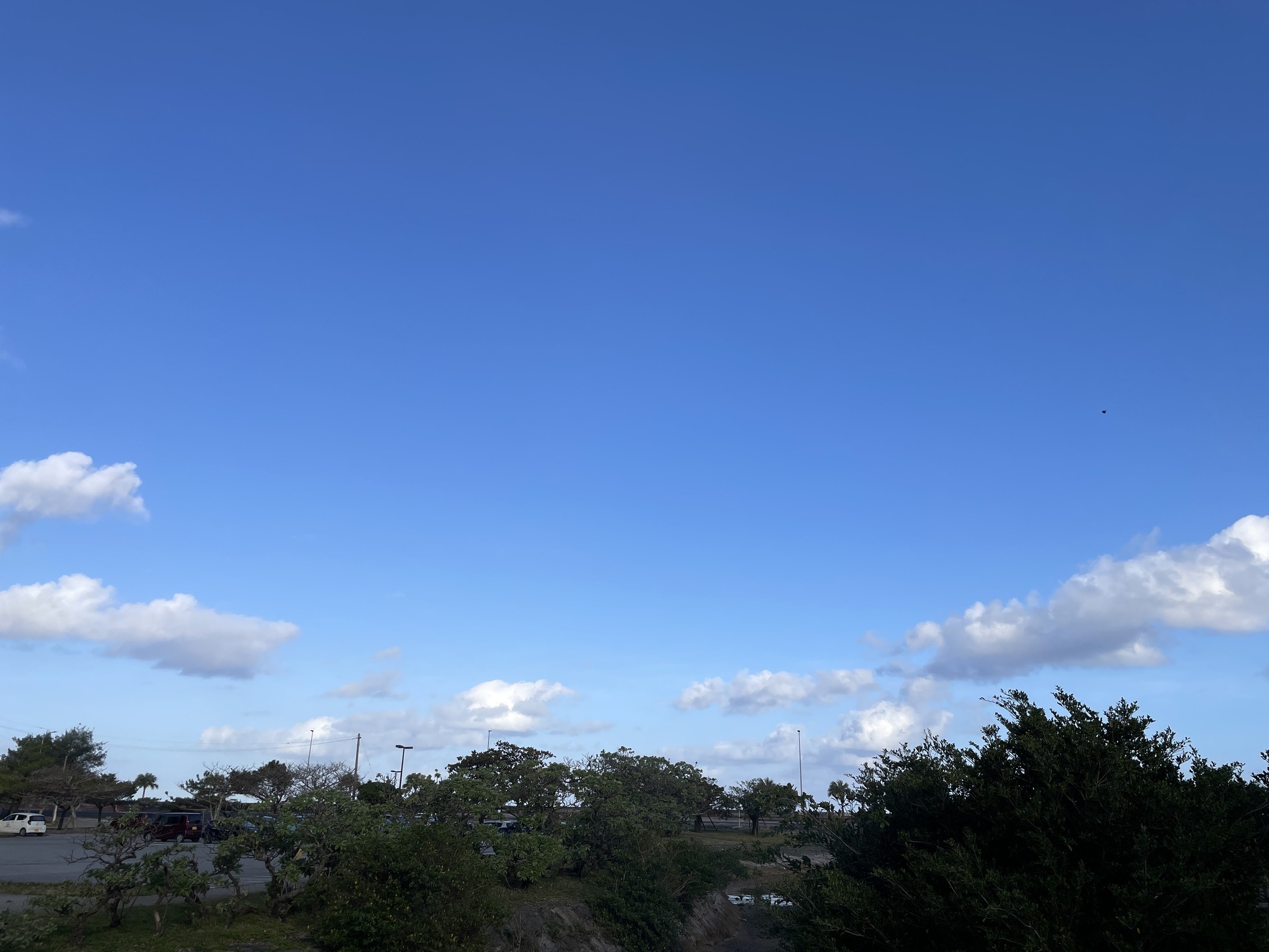 恩納 村 天気