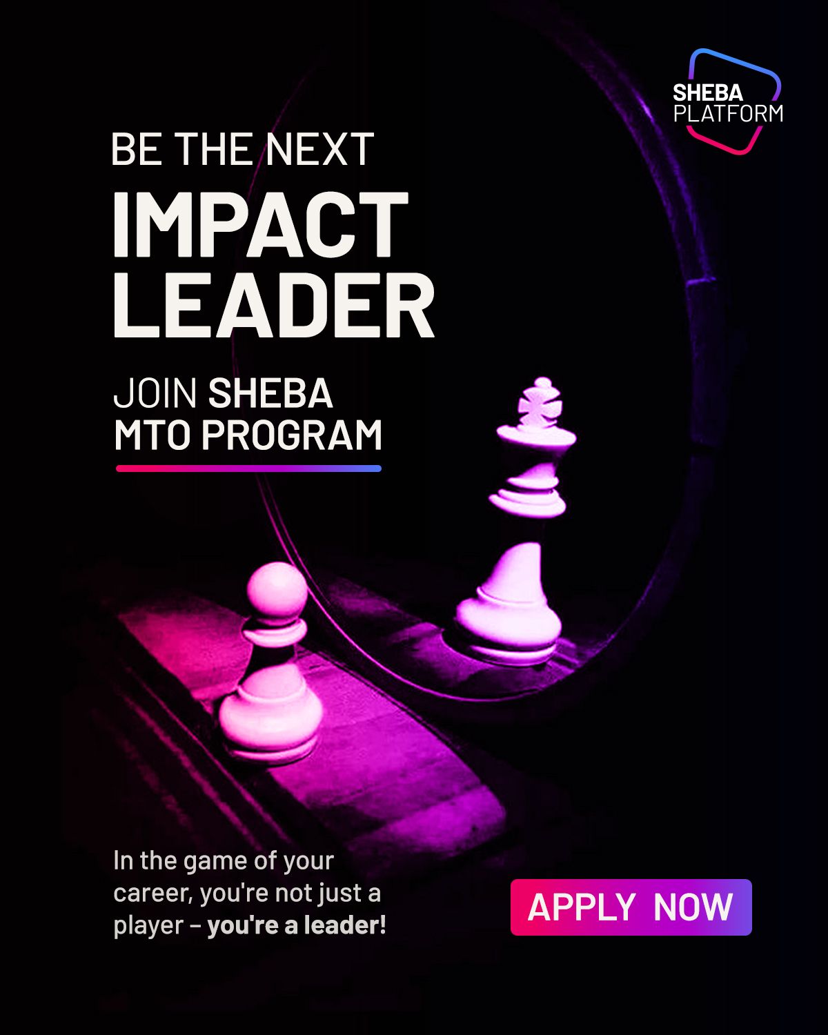 Sheba Platform Limited