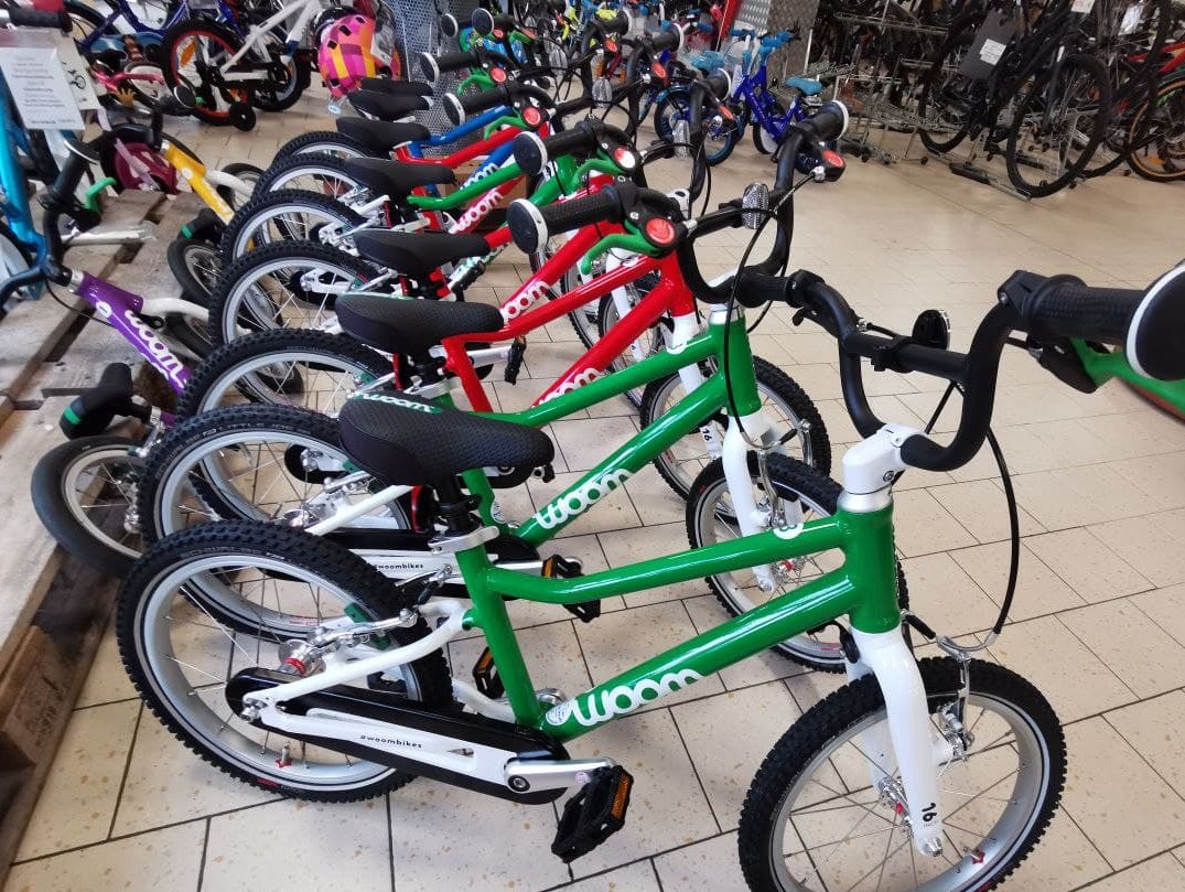 fahrrad handpumpe richtig benutzen Minipumpe aus Aluminium für alle Ventile Bubbly Maxi Diopter:-2 Fahrradseite Stand Mountainbike, höhenverstellbarer