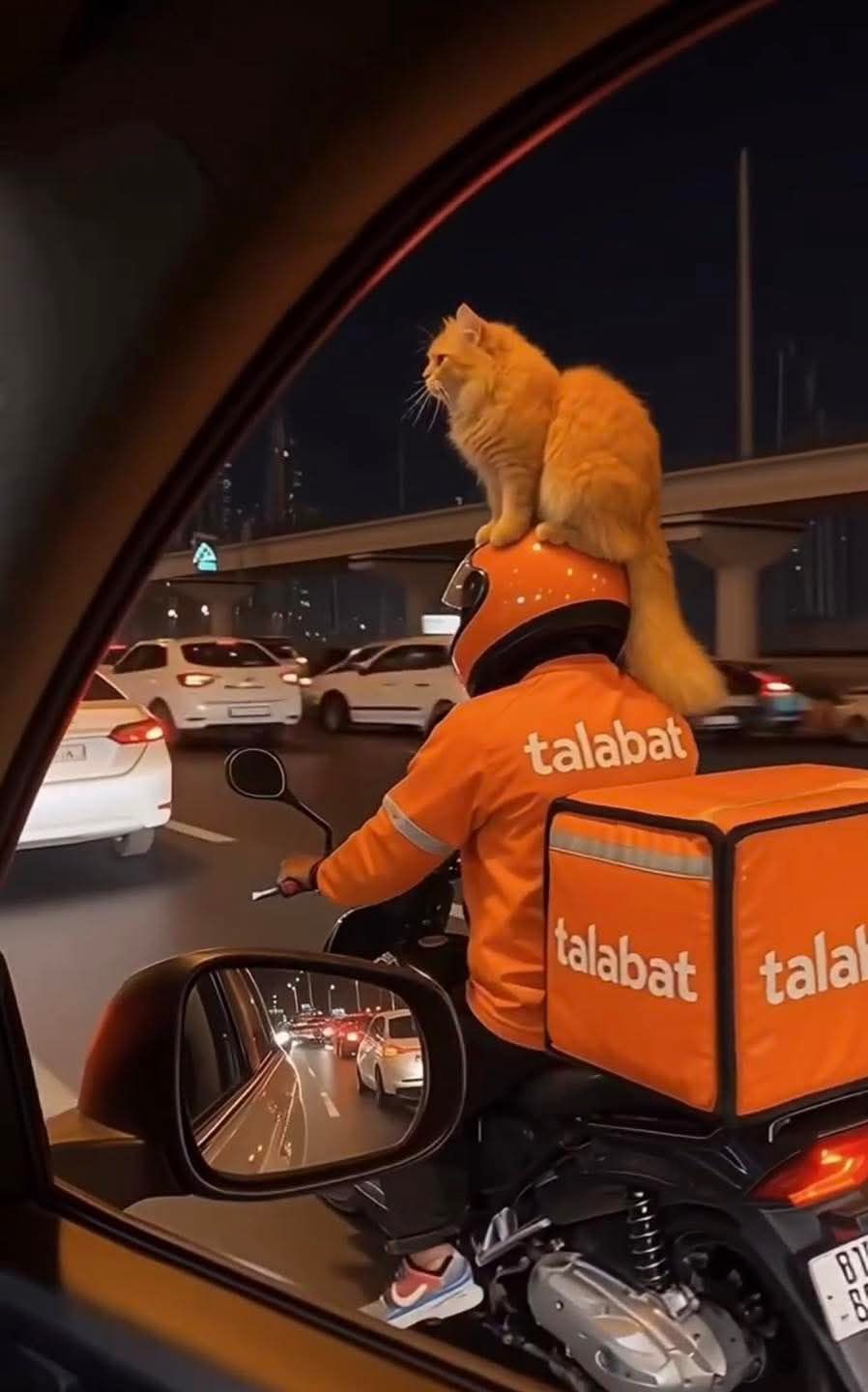 The Saudi - Talabat rider with his fluffy friend 😺 | Facebook