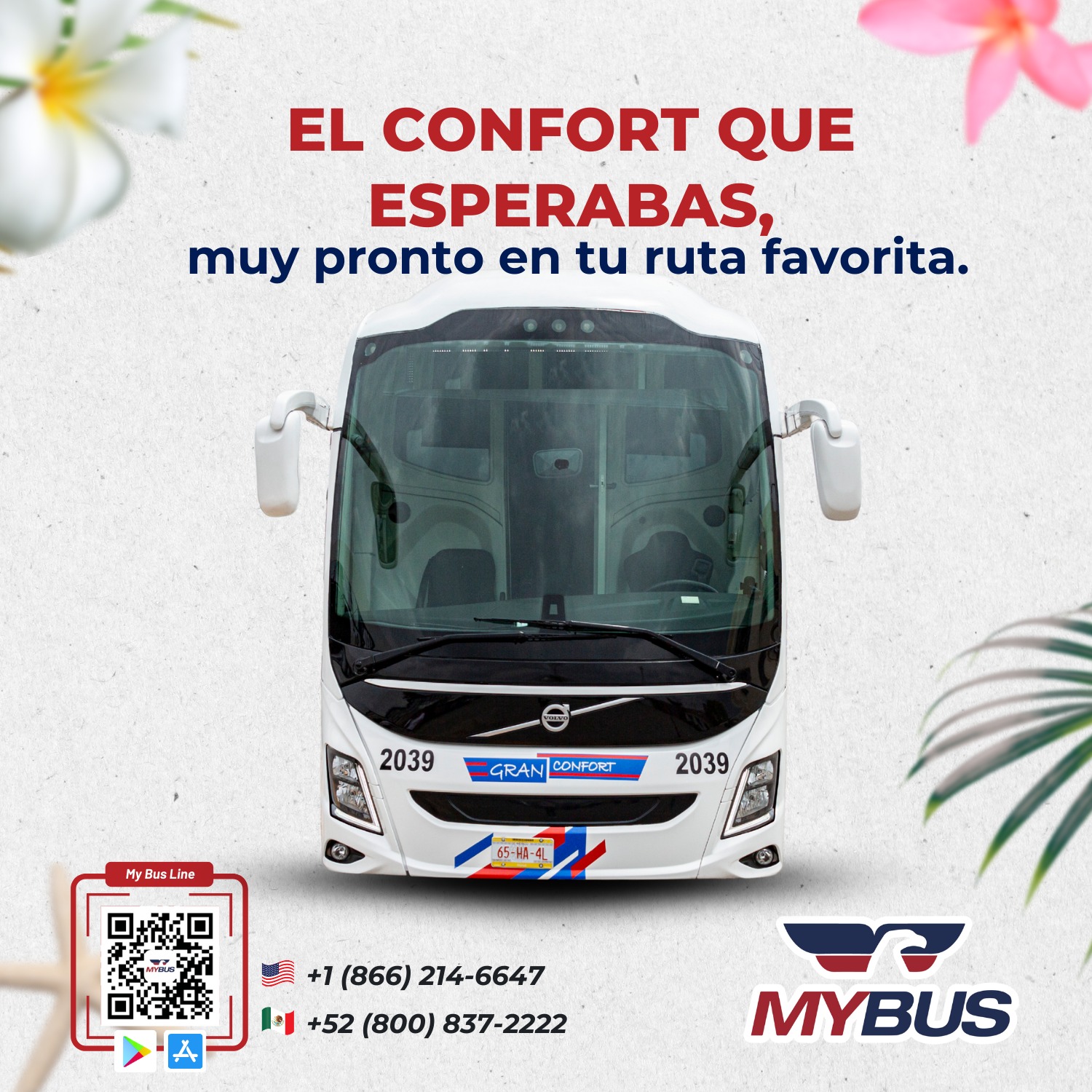 My Bus - El confort que esperabas está por llegar 🚌... | Facebook