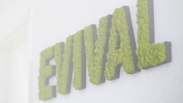 Evival Technologies Gmbh Co Kg Internet Company Achern