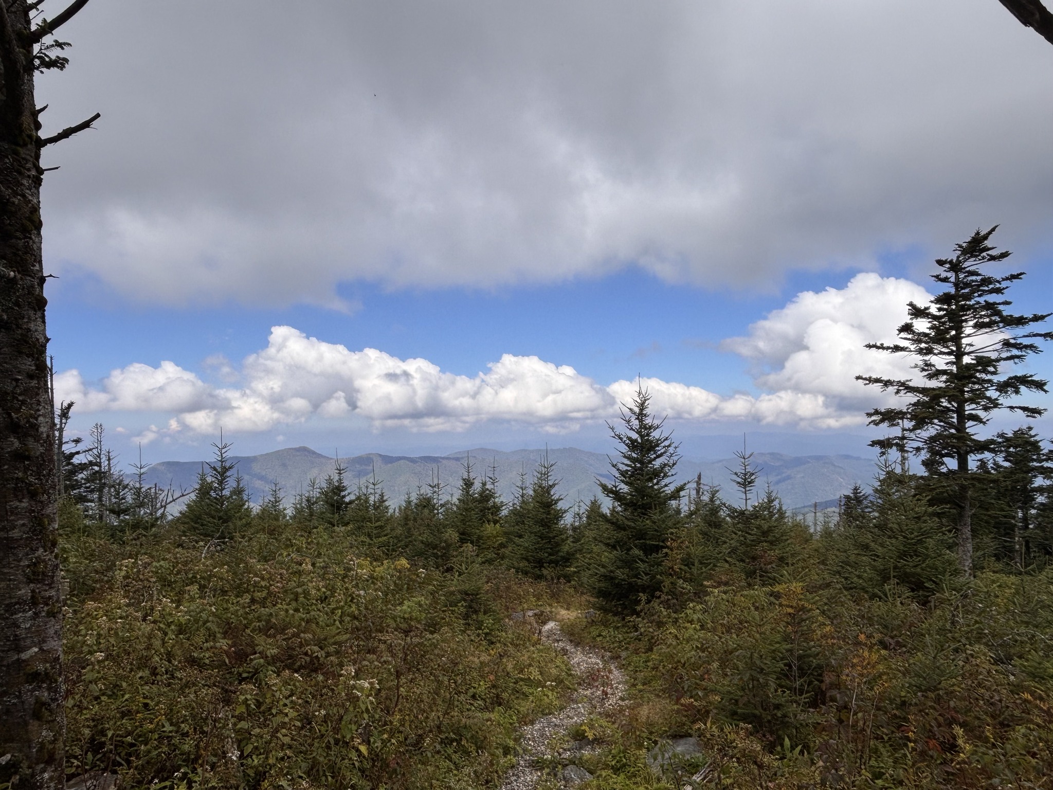 U.S. Forest Service - National Forests in North Carolina - Nantahala ...