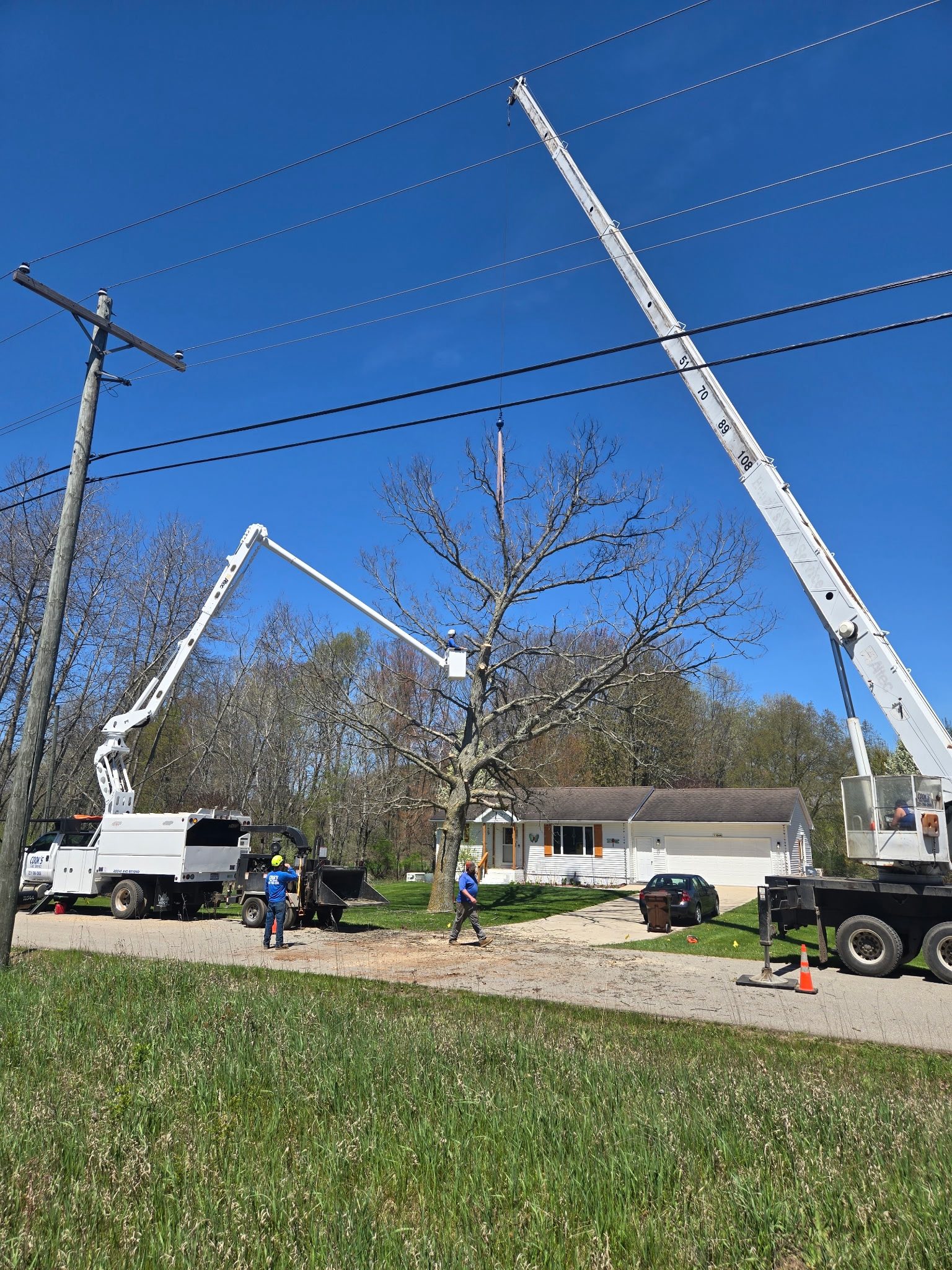 Cook's Tree Service LLC | Mecosta MI