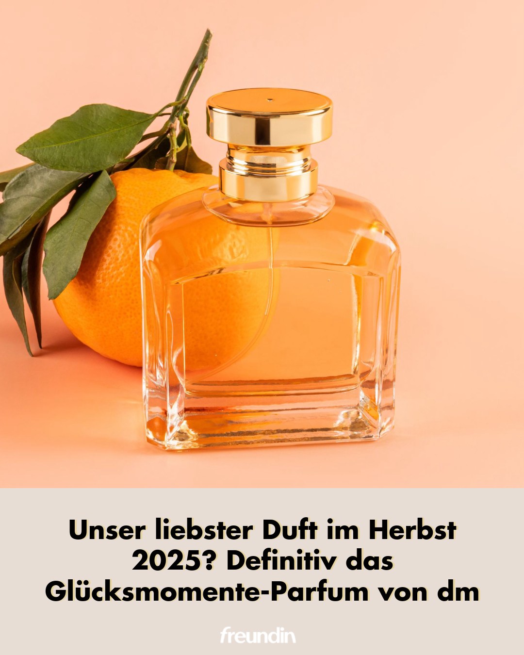 Das Glücksmoment-Parfum von dm verbindet fruchtige Noten mit Vanille und Tonka – der perfekte Duftfavorit für den Herbst 2025 Mehr dazu unten ⬇️