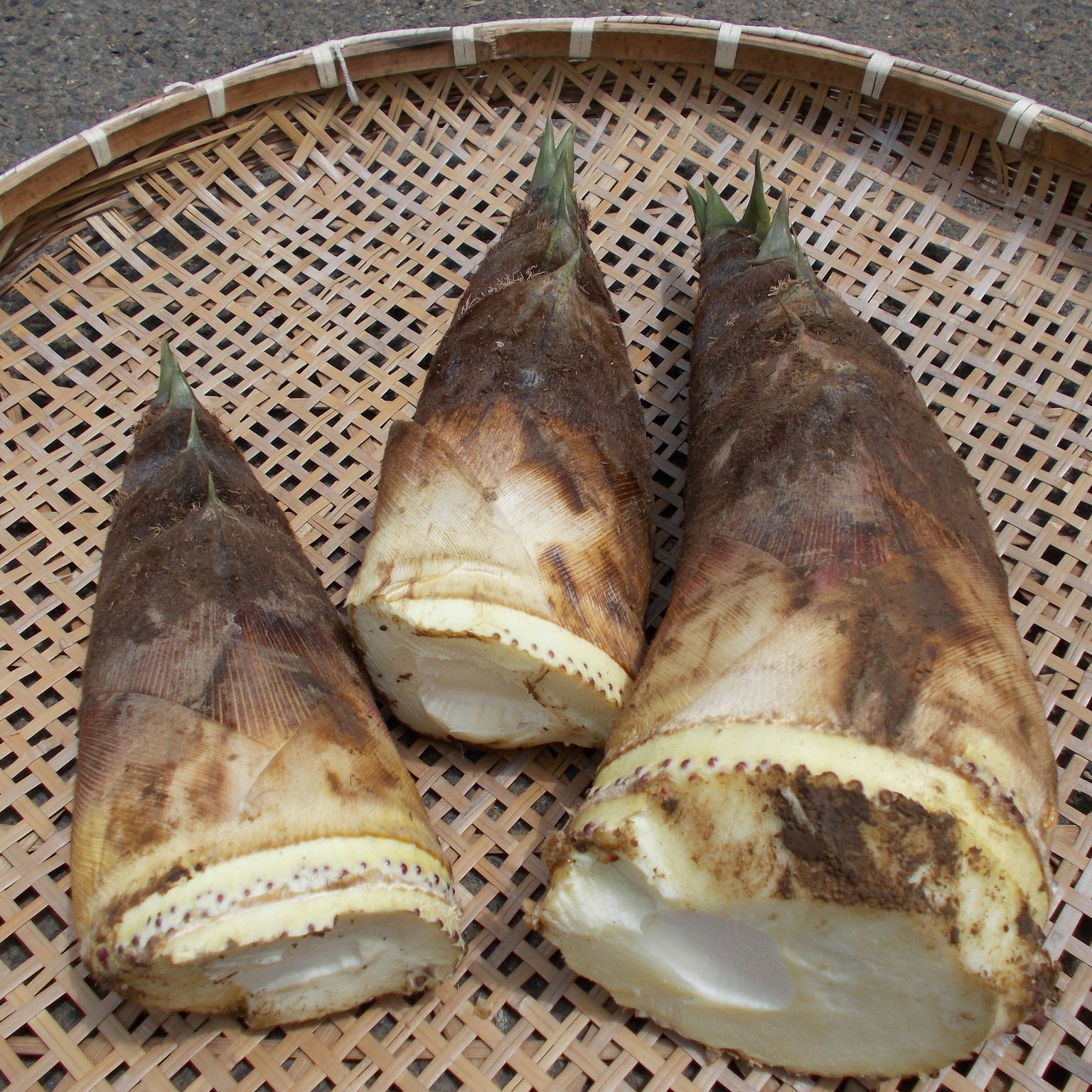 赤坂森づくりの会 - 赤坂孟宗竹メンマ試作品できました 5月5日に背丈ぐらいにのびた筍を切り （この段階は幼竹というそうです） 皮をむき 包丁 ...