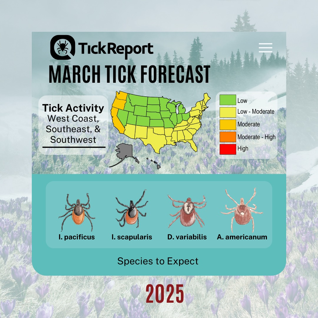 TickReport | Amherst MA