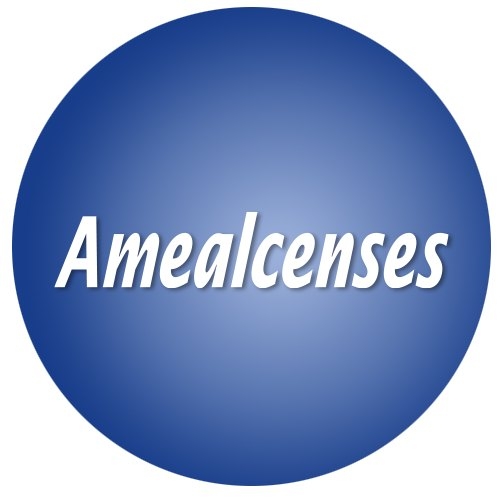 Transportes Amealcenses - Viaja en el mejor servicio de transporte