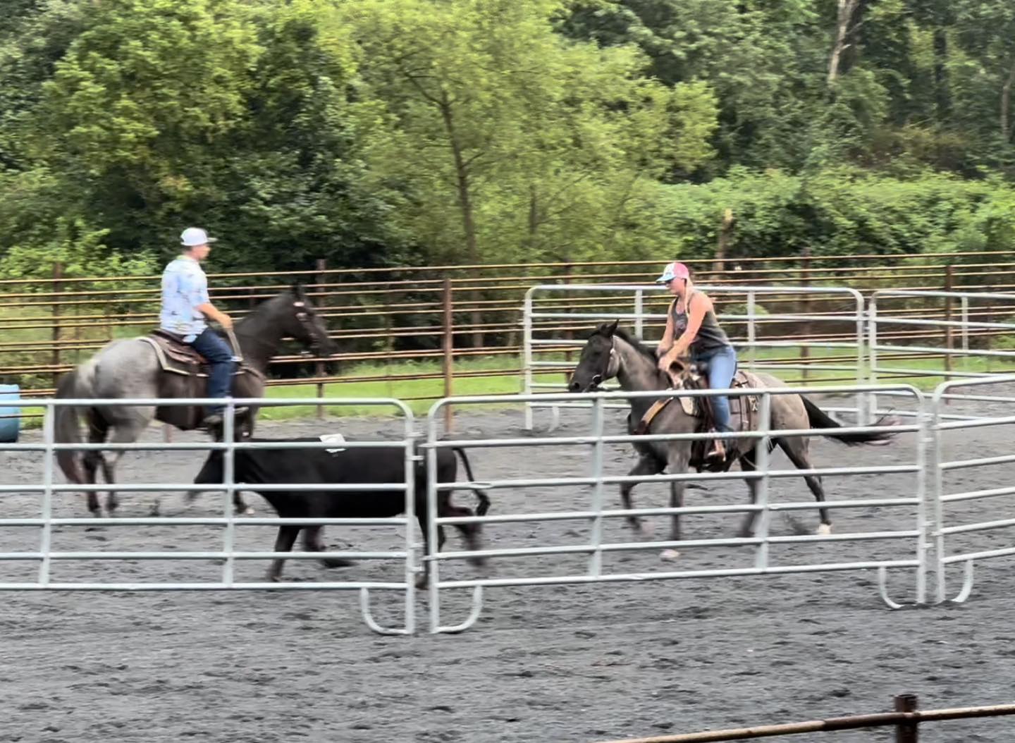 Triple R Horses - Triple R Horses added a new photo.