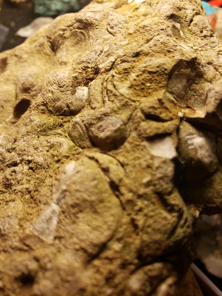 Wisconsin rocks and minerals | Boscobel WI