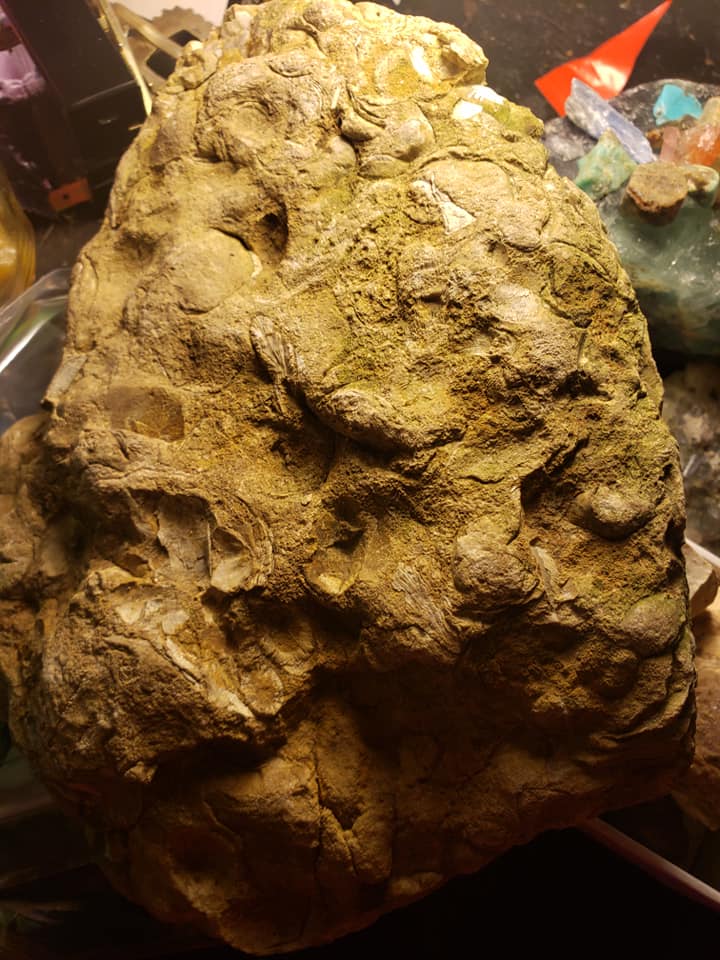 Wisconsin rocks and minerals | Boscobel WI
