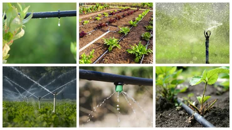 💧 Cotiza tus Componentes de PVC con... - Irrigación Delta | Facebook