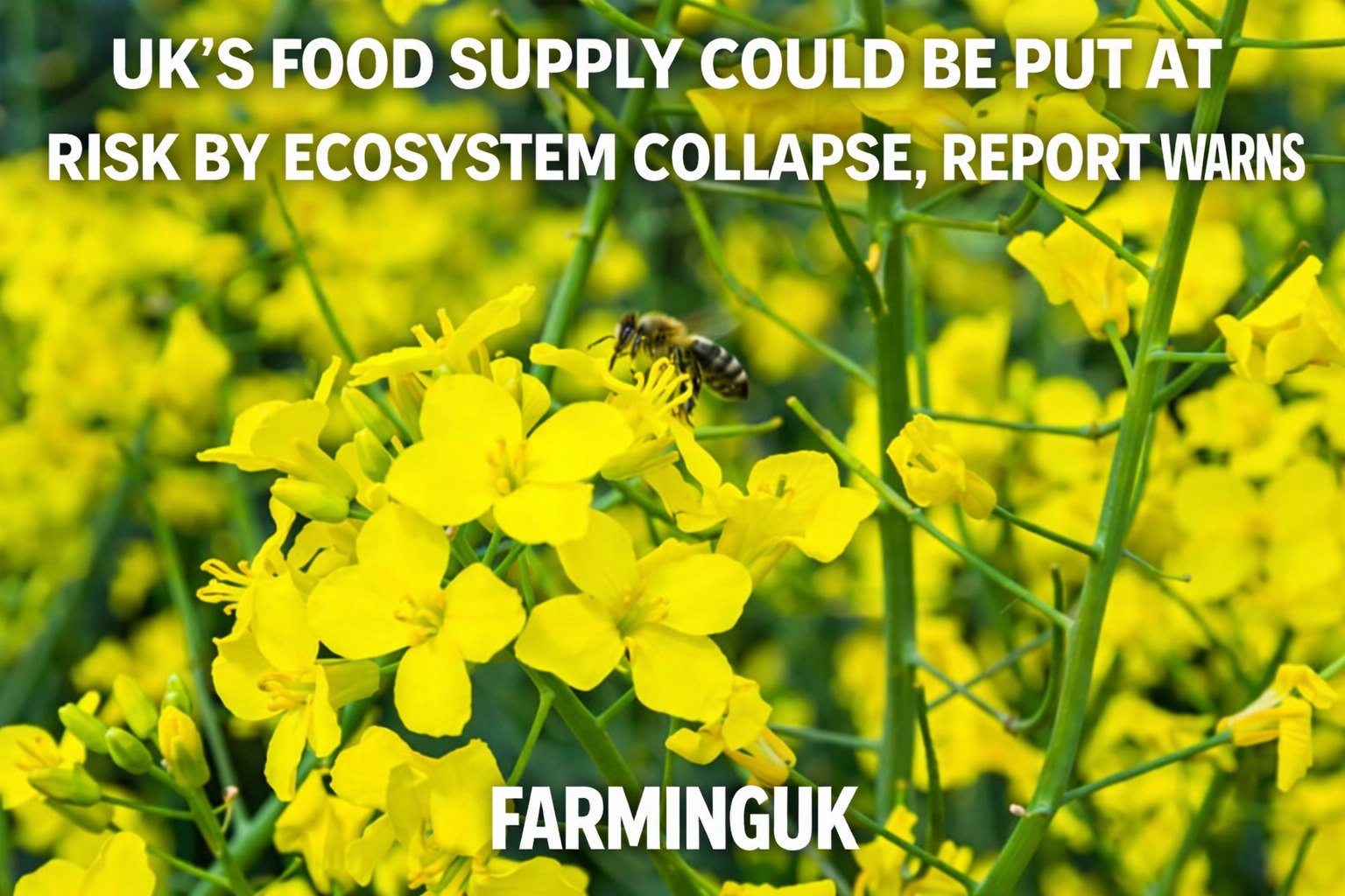 FarmingUK - The UK’s food supply could be put at risk by... | Facebook