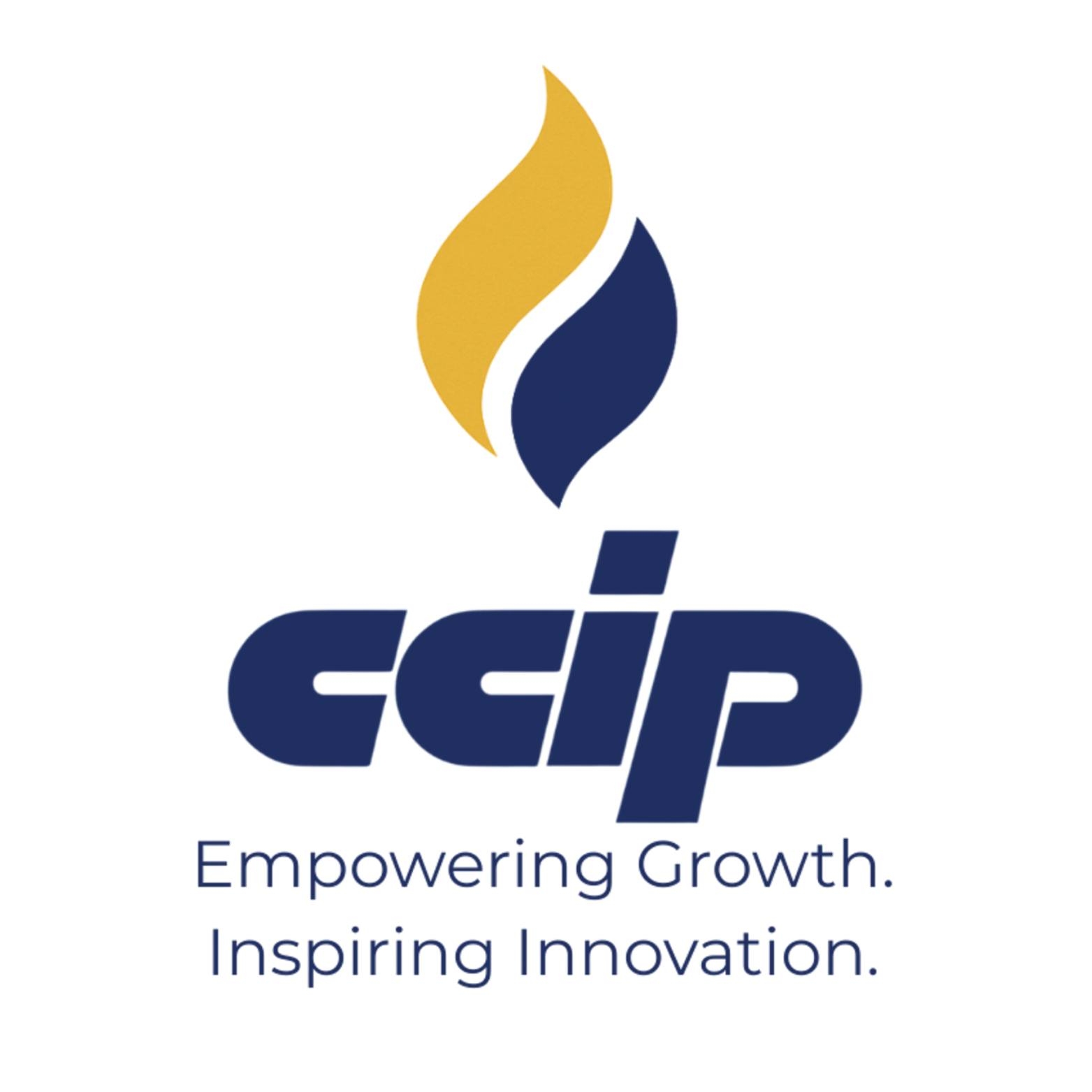 During the 4th GMM, CCIP presented the 2025 President’s Report ...