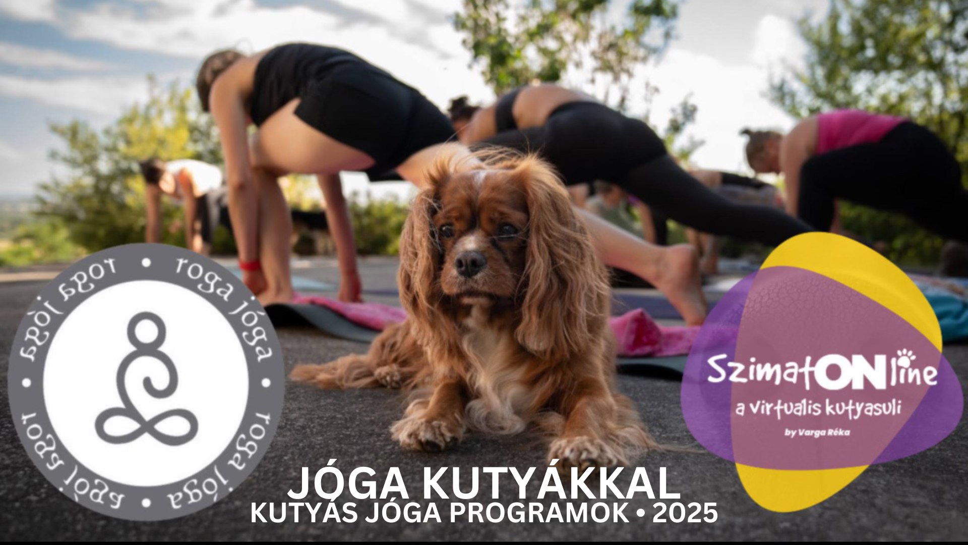 Varga Réka Kutyaoktató