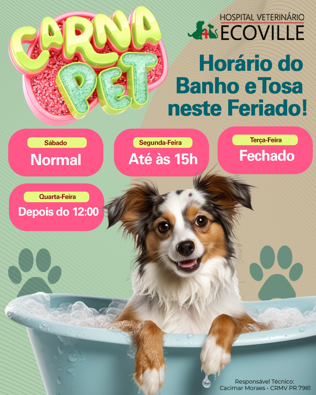 Hospital - 🐾 Horário de Funcionamento - Banho & Tosa no Carnaval 🐾 Para ...