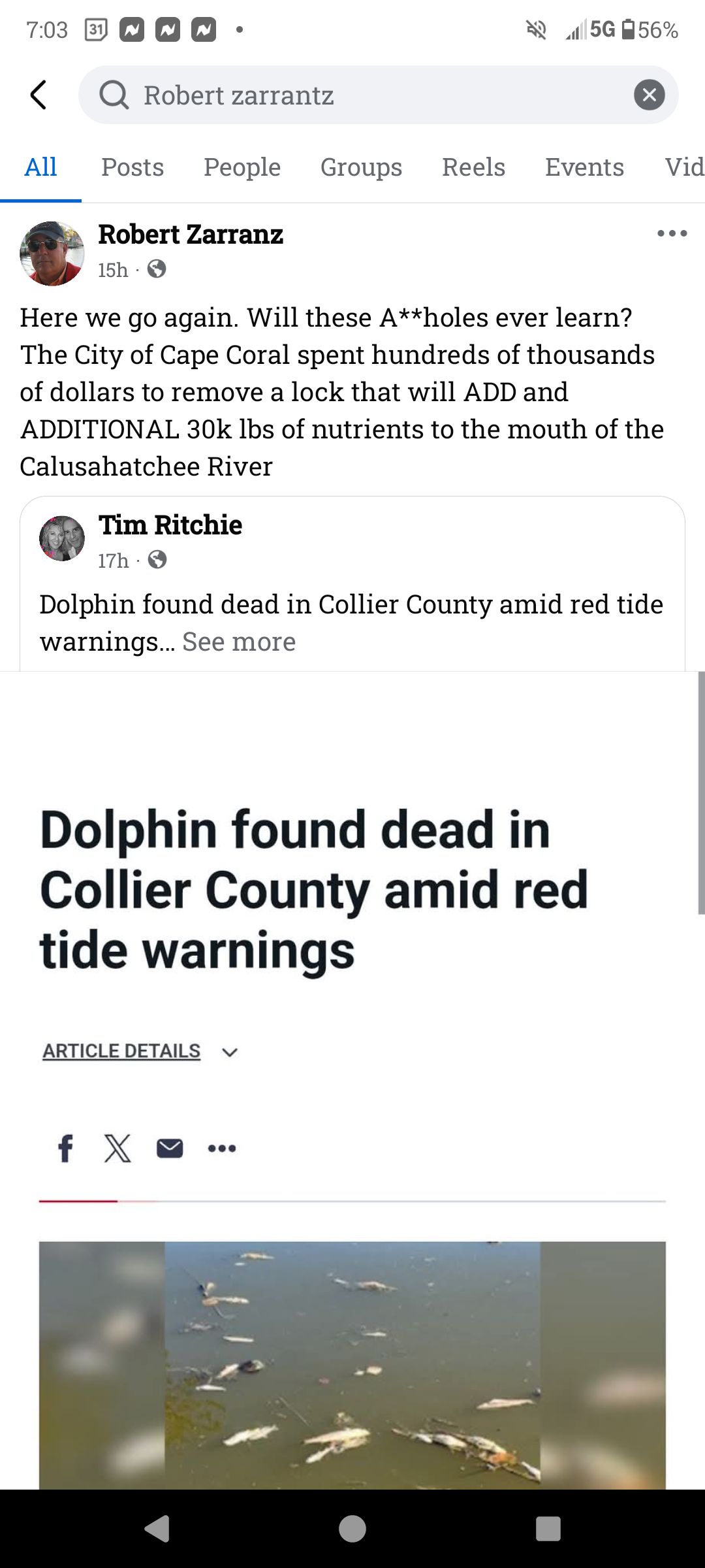 Tim Ritchie - Dolphin found dead in Collier County amid... | Facebook