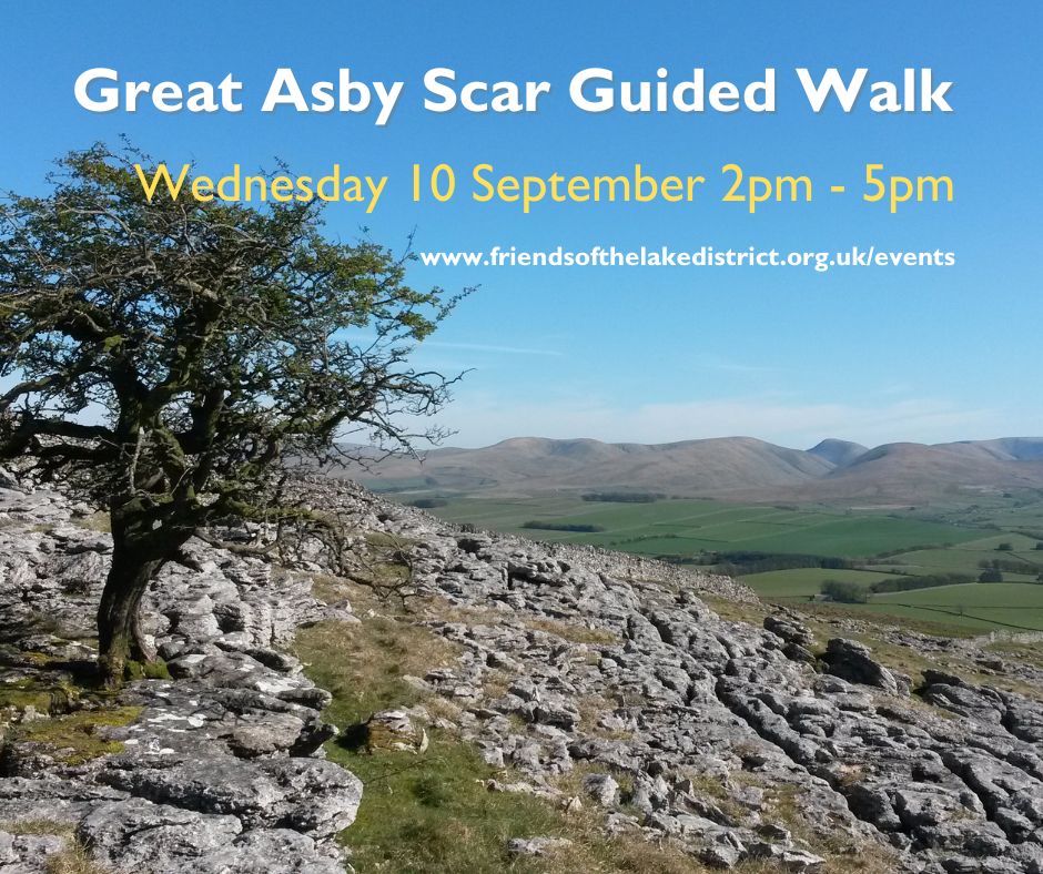 Friends - Join us for a guided walk 👣 10 September 2025 - a moderate 4 ...
