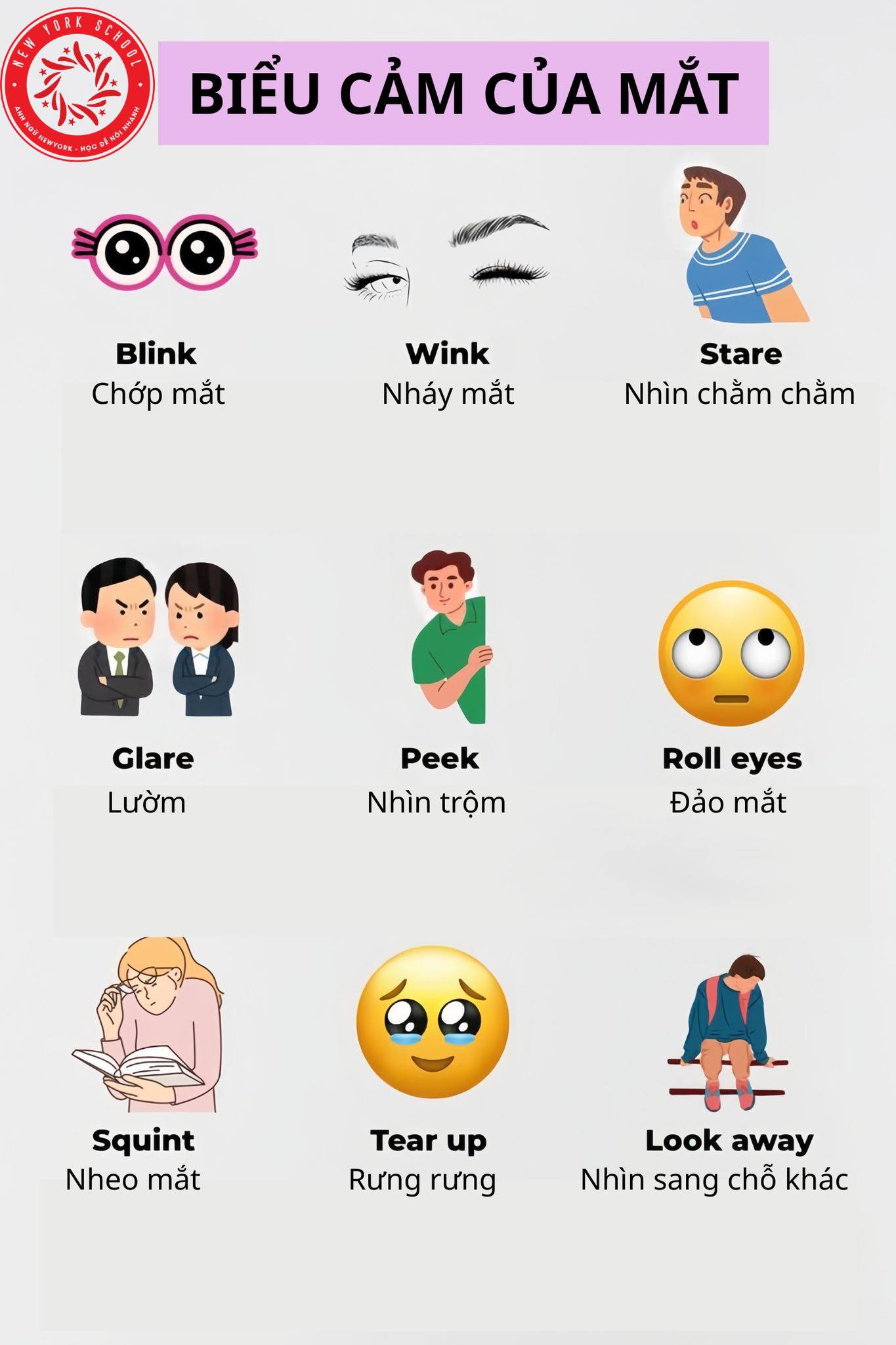 Anh - Biểu cảm của đôi mắt trong tiếng Anh. | Facebook