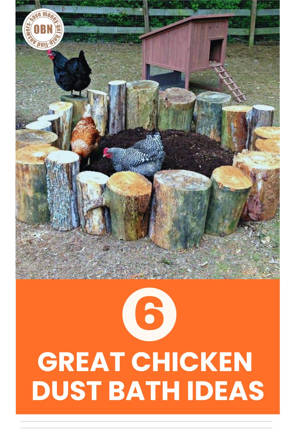 The Owner-Builder - 6 Genius Chicken Dust Bath Ideas for a Healthy ...