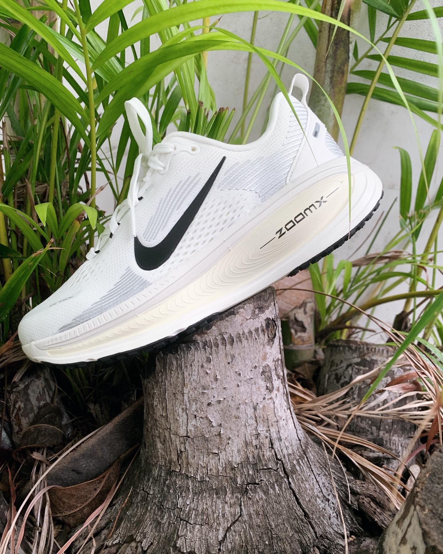 We just got in the new Nike Vomero 18! It now has a combination of 