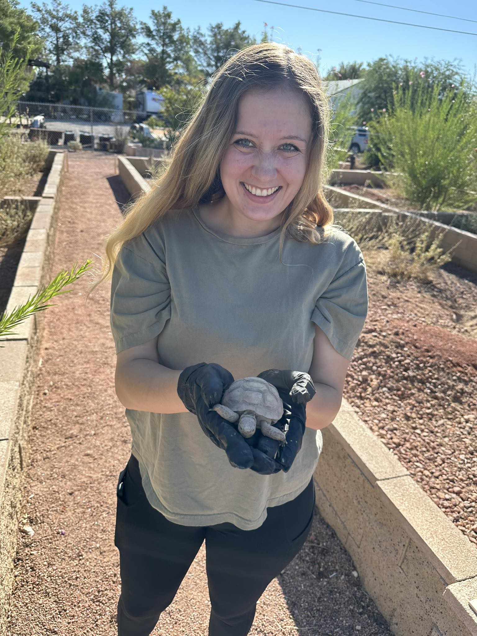 Tortoise - 🎉Tortoise Group is excited to welcome our new Executive ...
